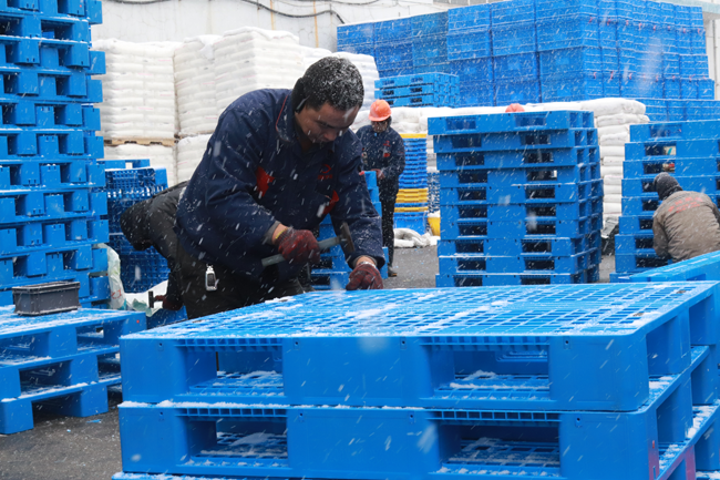 打鐵必須自身硬，質(zhì)量好的塑料托盤有什么要求？