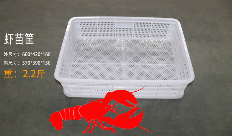 益樂上新啦！蝦苗存活率低？蝦苗筐聽完想打人