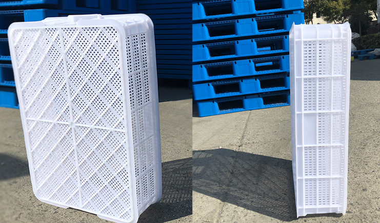 蝦苗存活率低？蝦苗筐聽完想打人