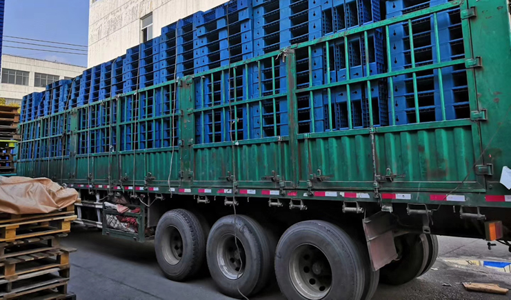 直擊！塑料托盤廠家的最新影像！