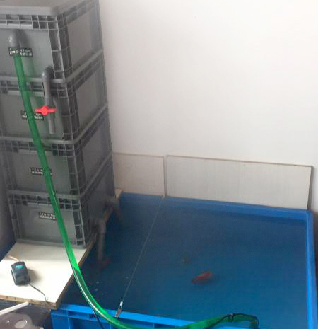 周轉(zhuǎn)箱養(yǎng)魚靠譜嗎？怕漏水看這里