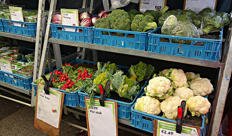 水果塑料周轉箱筐批發(fā)，快到筐里來！