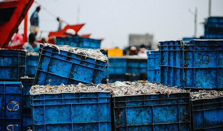 藍色塑料周轉(zhuǎn)箱哪里買？買個好周轉(zhuǎn)箱也太難了