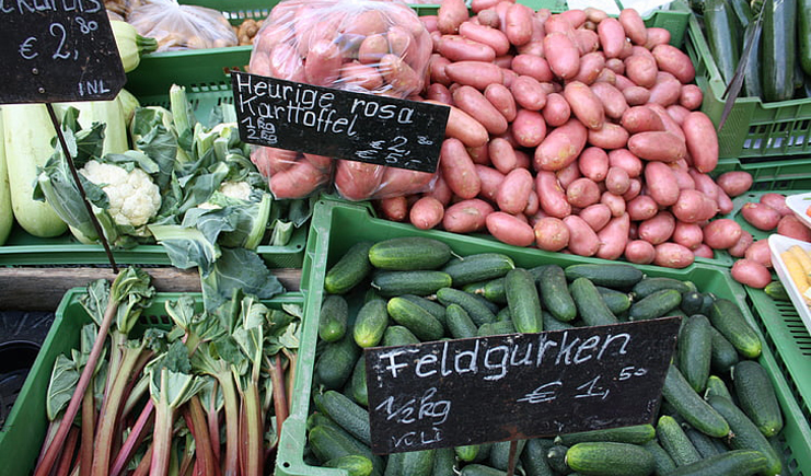 蔬菜水果塑料周轉(zhuǎn)筐，帶你玩轉(zhuǎn)不一樣的周轉(zhuǎn)筐