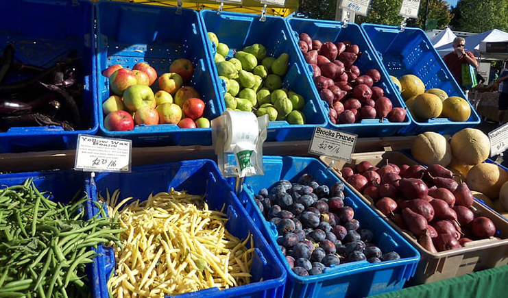 為何從大企業(yè)到小攤小販都離不開塑料周轉箱？