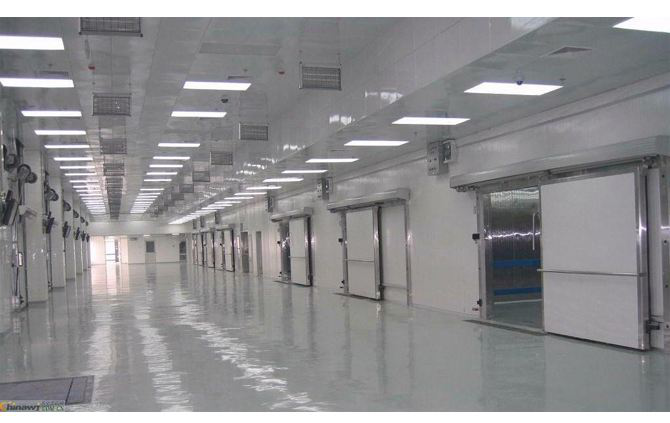 這款塑料托盤(pán)打入“冷宮”，也能混的如魚(yú)得水？